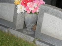 Dona M Martin on Sysoon