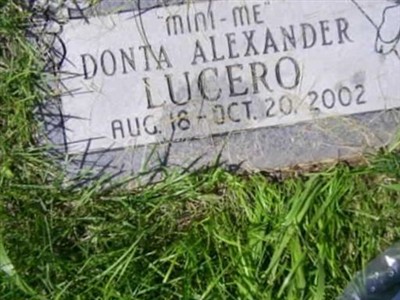 Donta Alexander Lucero on Sysoon