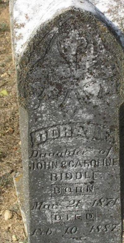 Dora F. Riddle on Sysoon