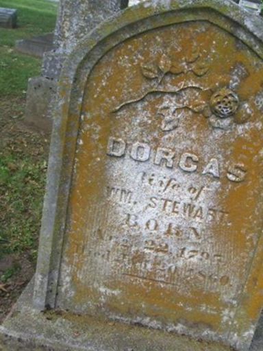 Dorcas Stewart on Sysoon