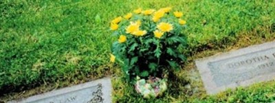 Dorotha Elizabeth "Dot" Snyder Law on Sysoon