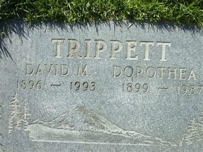 Dorothea Estelle Adams Trippett on Sysoon