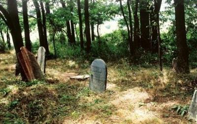 Doubs-Johnson Family Cemetery on Sysoon