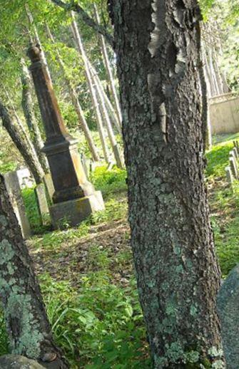 Dow Family Cemetery on Sysoon