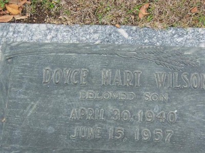 Doyce Mart Wilson on Sysoon