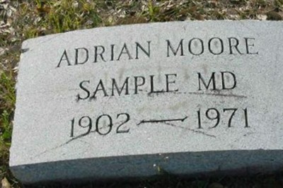 Dr Adrian Moore Sample on Sysoon