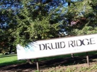 Druid Ridge Cemetery on Sysoon