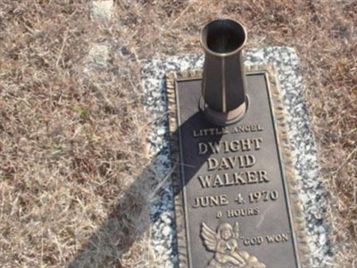 Dwight David Walker on Sysoon