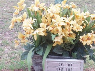Dwight Urelius on Sysoon