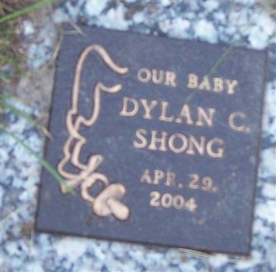 Dylan C. Shong on Sysoon