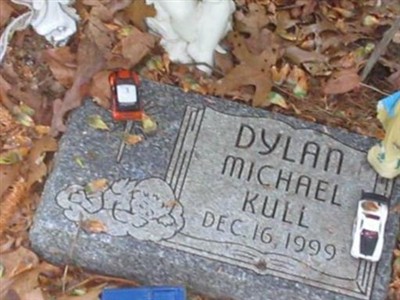 Dylan Michael Kull on Sysoon
