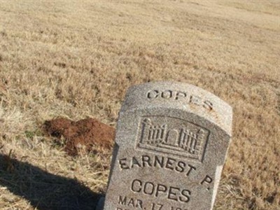 Earnest P Copes on Sysoon