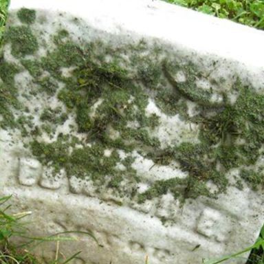 Edward E. Dickerson on Sysoon