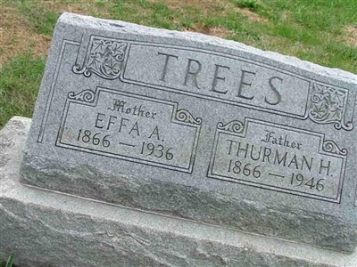 Effa A. Trees on Sysoon