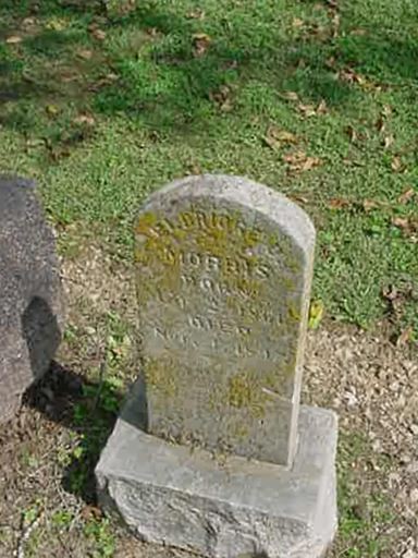 Elbridge D. Morris on Sysoon