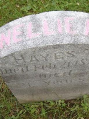 Eleanor A " Nellie " Hayes on Sysoon