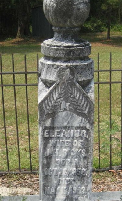 Eleanor Ricks on Sysoon