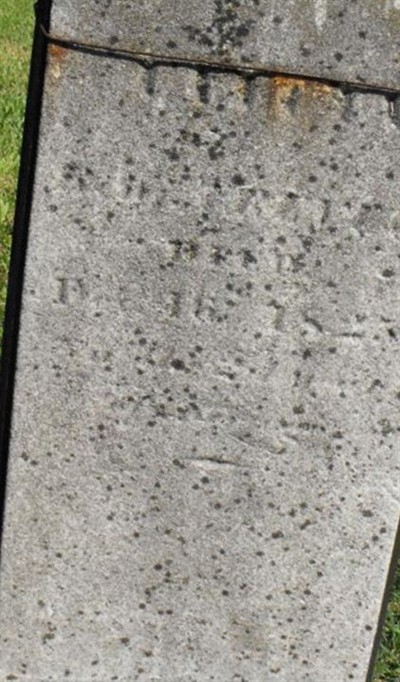 Electa Ann Trevett on Sysoon
