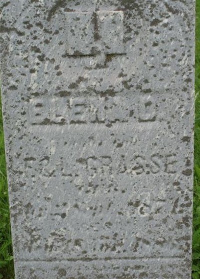 Elena D Grasse on Sysoon