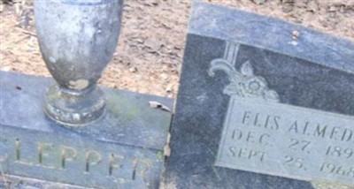 Elis Almeda Glass Clepper on Sysoon