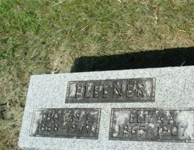 Eliza A Lewis Fleener on Sysoon