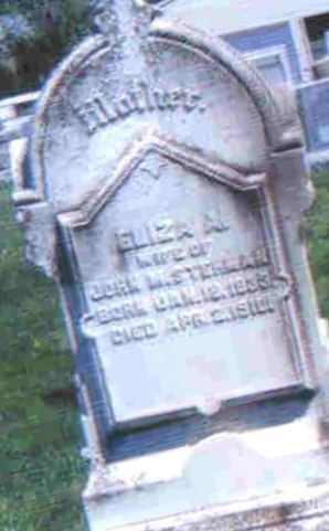 Eliza Ann Frantz Stehman on Sysoon