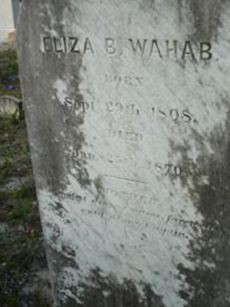 Eliza B. Wahab on Sysoon