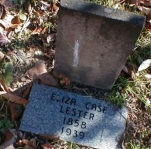 Eliza Case Lester on Sysoon