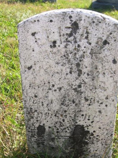 Eliza Fleming? on Sysoon
