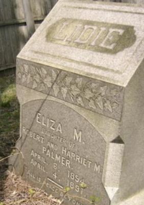 Eliza M. "Lidie" Palmer on Sysoon