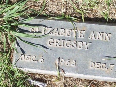 Elizabeth Ann Grigsby on Sysoon
