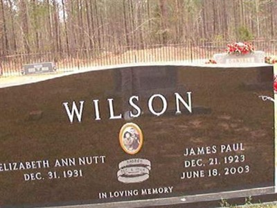 Elizabeth Ann Nutt Wilson on Sysoon