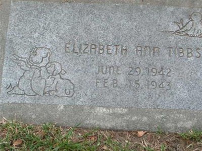 Elizabeth Ann Tibbs on Sysoon