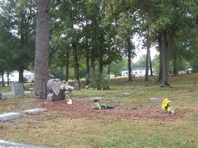 Elizabeth Baptist Church Cemetery on Sysoon