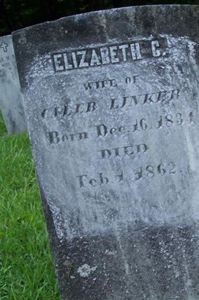 Elizabeth C. Linker on Sysoon