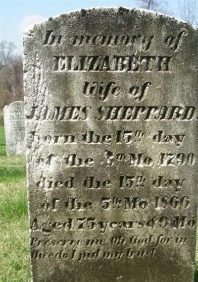 Elizabeth Dillon Sheppard on Sysoon