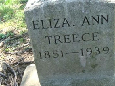 Elizabeth Ann "Eliza" Settlemoir Treece on Sysoon