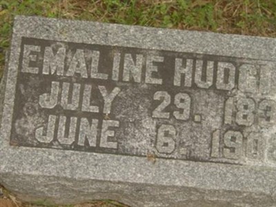 Elizabeth Emaline Hammonds Hudgins on Sysoon