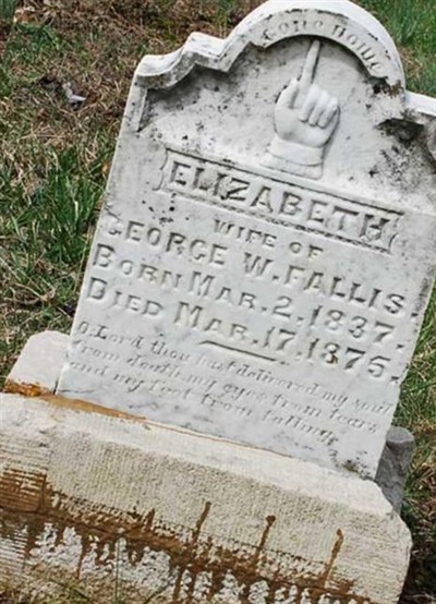 Elizabeth Fallis on Sysoon