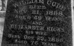 Elizabeth Hicks Code on Sysoon