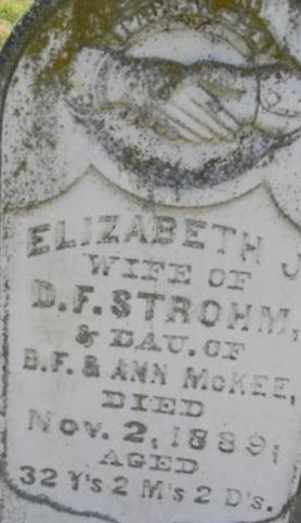 Elizabeth J. Strohm on Sysoon