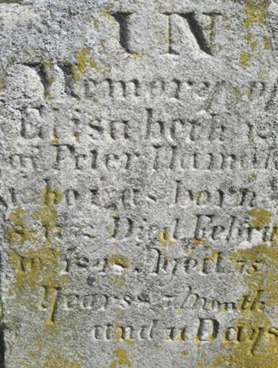 Elizabeth Schaefer Hamaker on Sysoon