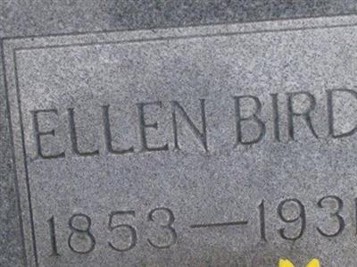 Ellen Bird on Sysoon