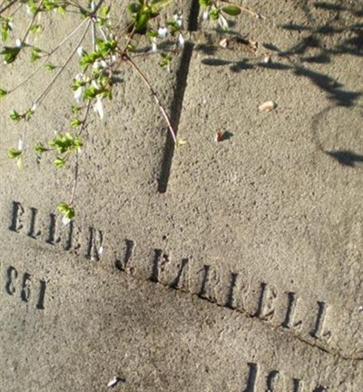 Ellen J. Farrell on Sysoon