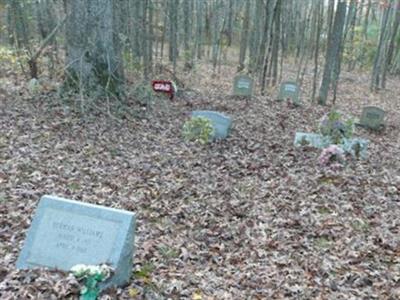 Ellis & Brown Family Cemetery on Sysoon