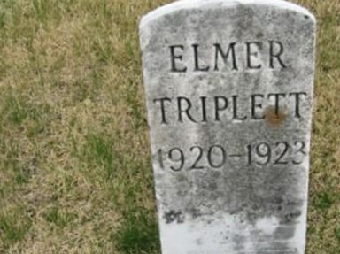 Elmer Triplett on Sysoon
