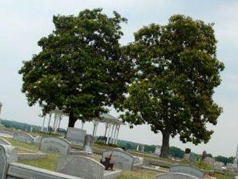 Elmhurst Cemetery on Sysoon