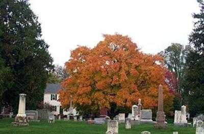 Elmwood Cemetery on Sysoon