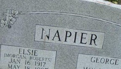 Elsie Morgan Roberts Napier on Sysoon