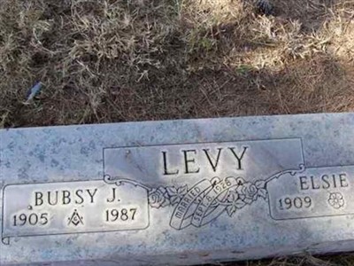 Elsie R. Levy on Sysoon